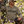 Flora-Bama Mossy Oak Tree Stand LS