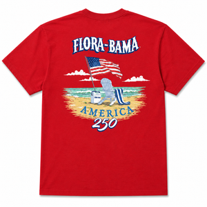 Red shirt beach scene with a chair and flag.