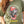 Person wearing a green t-shirt with a graphic of a dog wearing a red cap and bandana, celebrating America's 250th birthday.