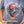 T-shirt with a dog graphic and 'Flora-Bama' text, celebrating America's 250th birthday.