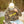 Person wearing a camouflage sweatshirt with 'FloraBama logo in yellow and a white hat with flora bama yellow logo and a camo bill