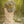 Camouflage hat with 'Flora-Bama' logo on a boot against a natural background
