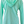 back view of a mint green hooded long-sleeved ladies tee with 'Flora-Bama' text printed across the front.